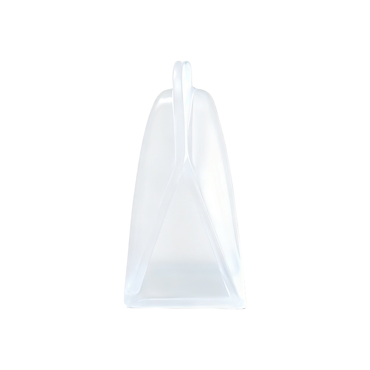 Silicone Food Storage Bags (Reusable & Leakproof)